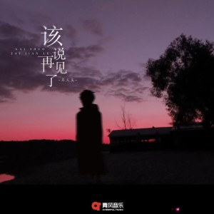 收聽吳大文的該說再見了歌詞歌曲