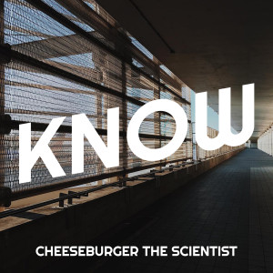 Listen to Know song with lyrics from Cheeseburger The Scientist
