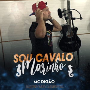 ดาวน์โหลดและฟังเพลง Sou Cavalo Marinho พร้อมเนื้อเพลงจาก Daddo DJ