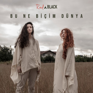 收聽RednBlack的Bu Ne Biçim Dünya歌詞歌曲