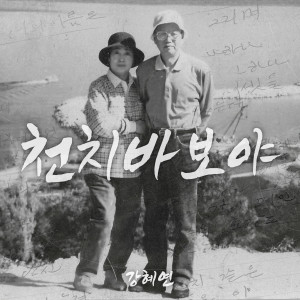 Album 천치 바보야 oleh 강혜연
