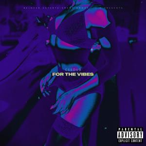 Ceedub的專輯For The Vibes (Explicit)