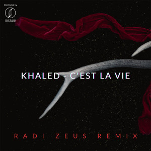 Listen to C'est la vie (Radi Zeus Remix) song with lyrics from Khaled