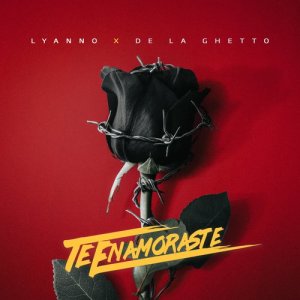 ดาวน์โหลดและฟังเพลง Te Enamoraste พร้อมเนื้อเพลงจาก Lyanno