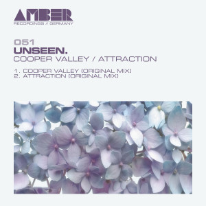 Album Cooper Valley / Attraction from Unseen.