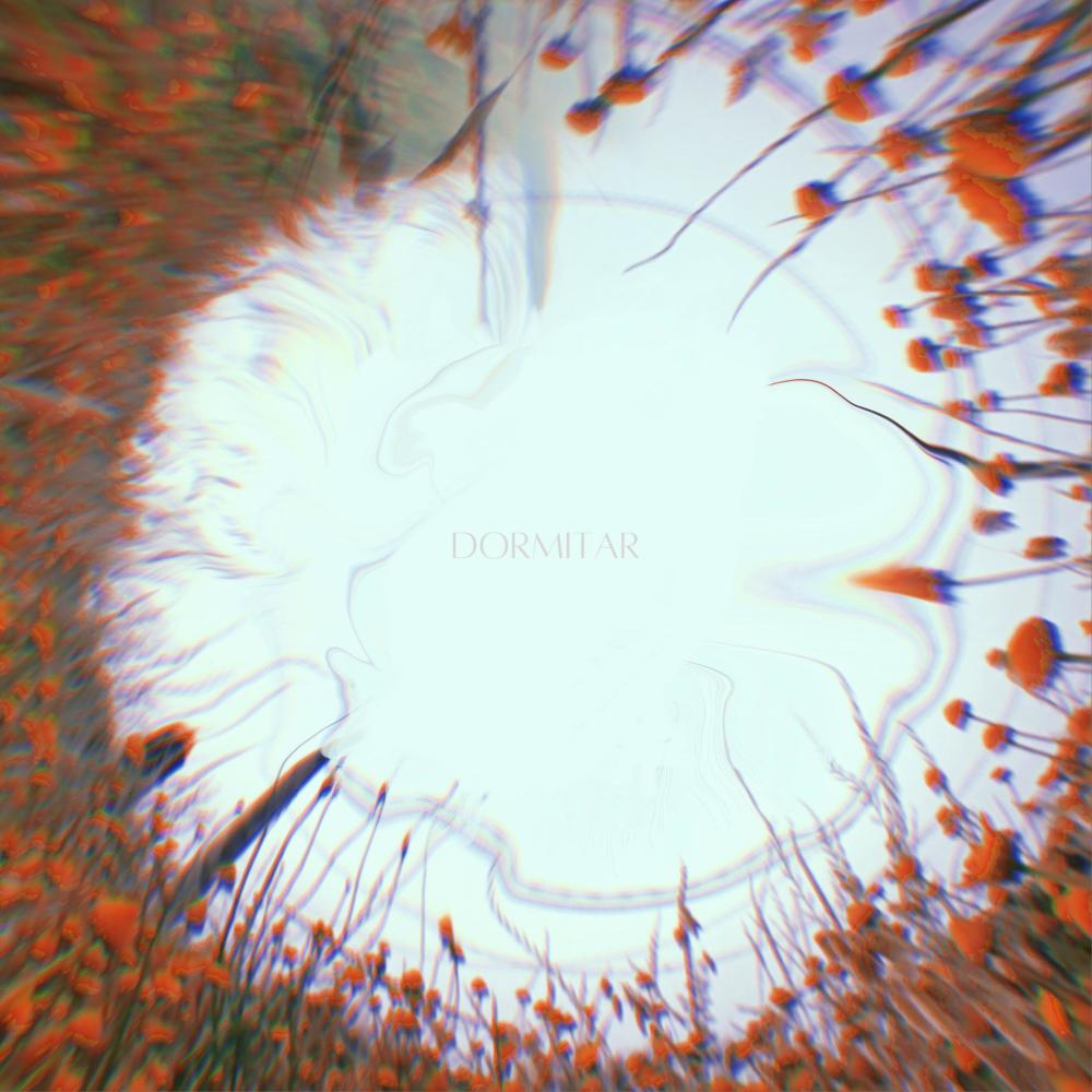 Dormitar