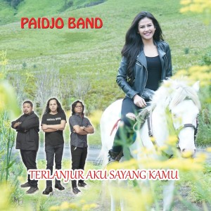 Album Terlanjur Aku Sayang Kamu oleh PAIDJO BAND