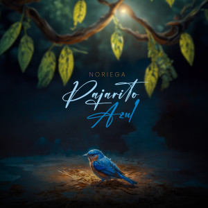 收听Noriega的Pajarito Azul歌词歌曲