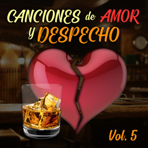 อัลบัม Canciones de Amor y Despecho (Vol. 5) ศิลปิน Varios Artistas