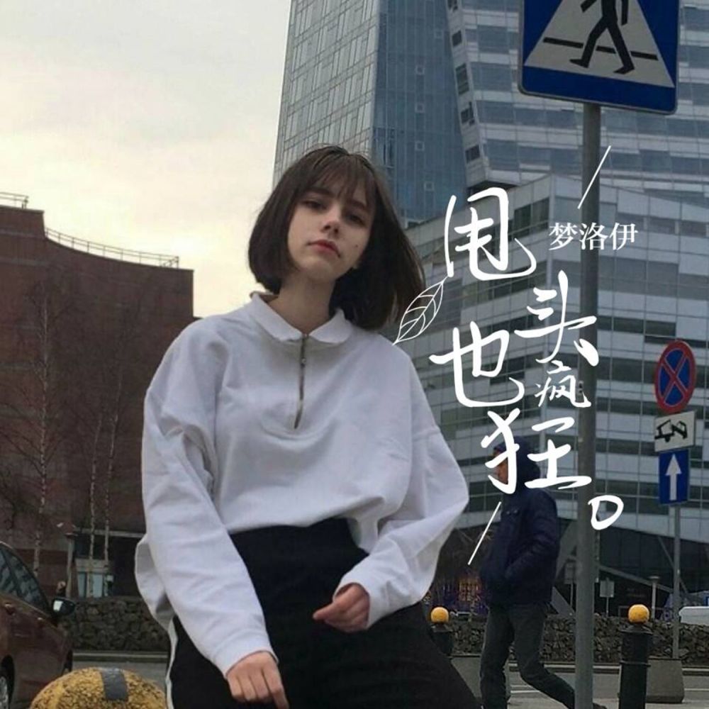 甩头也疯狂 (DJ版)