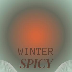 Various的专辑Winter Spicy