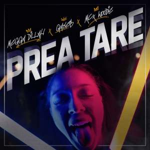 Listen to Prea Tare song with lyrics from Megga Dillah