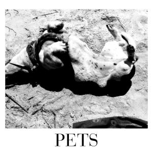 收聽Ruah的Pets (feat. Sun Organ) (Explicit)歌詞歌曲