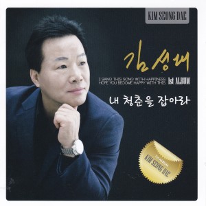 Album 내 청춘을 잡아라 from 