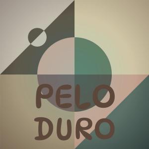 Listen to Texaco Zone song with lyrics from Dand Bros