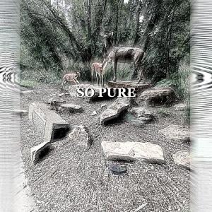 ดาวน์โหลดและฟังเพลง So Pure (feat. Donor) (Explicit) พร้อมเนื้อเพลงจาก ANGEL DIARY