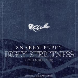ดาวน์โหลดและฟังเพลง Bigly Strictness (Extended) พร้อมเนื้อเพลงจาก Snarky Puppy