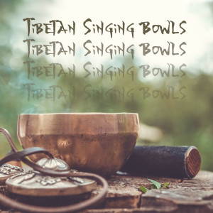 收听Buddhist Meditation Music Set的Tibetan Bowls歌词歌曲
