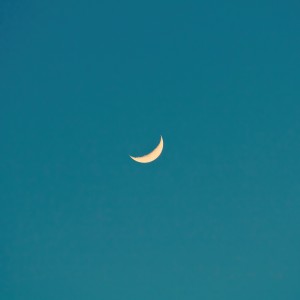 Dengarkan Don’t want to let you go (Inst.) (Instrumental) lagu dari Haze Moon dengan lirik