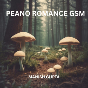 Listen to Peano Romance Gsm Motors song with lyrics from Manish Gupta