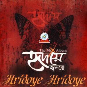 Album Hridoye Hridoye - The Mix Album from Group Star