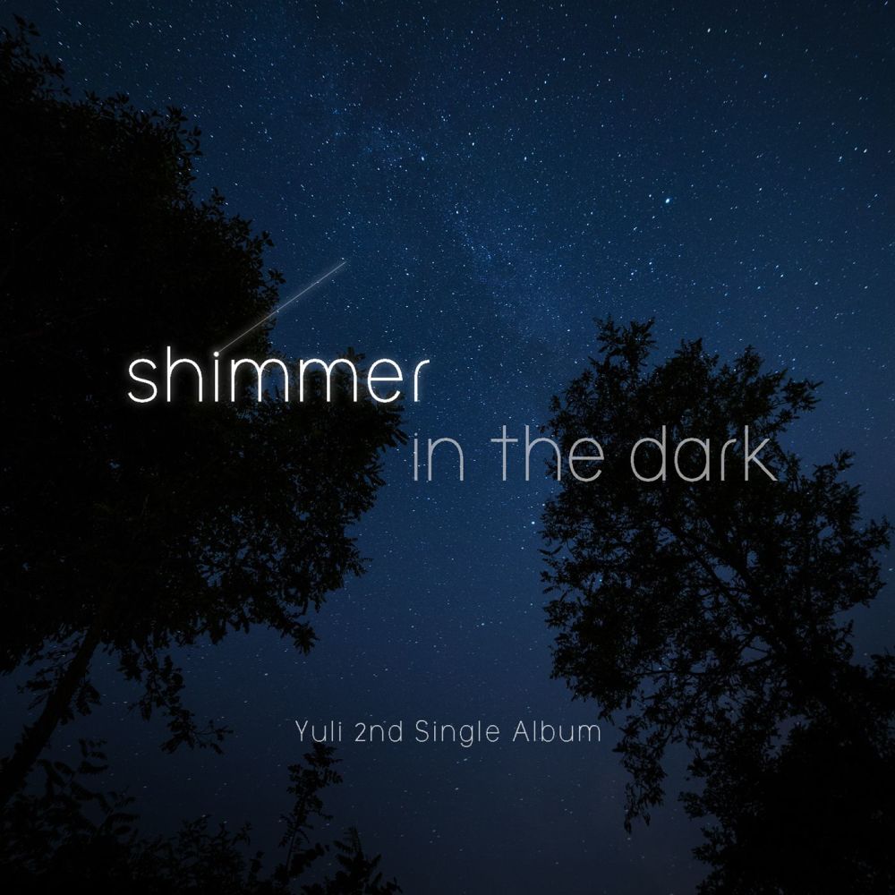 Shimmer in the dark (Feat. 효정)