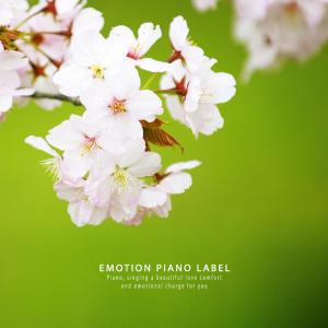 Album Spring energies (Healing New Age) oleh Na Yesol