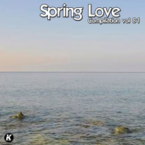 Listen to Synthouse song with lyrics from Sandro Sandri