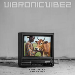 ดาวน์โหลดและฟังเพลง Mthande พร้อมเนื้อเพลงจาก VibronicVibez