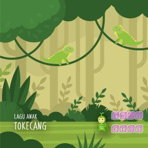 Tokecang dari Baby Kids