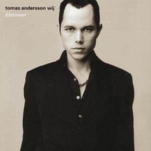 收聽Tomas Andersson Wij的Små hål i din röst歌詞歌曲