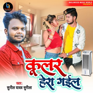 Listen to Cooler Hera Gail song with lyrics from Sunil Yadav Surila