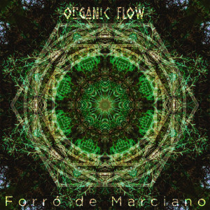 Organic Flow的專輯Forró de Marciano