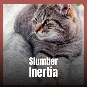 收听Roslina Hela的Slumber Inertia歌词歌曲
