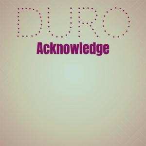 อัลบัม Duro Acknowledge ศิลปิน Various