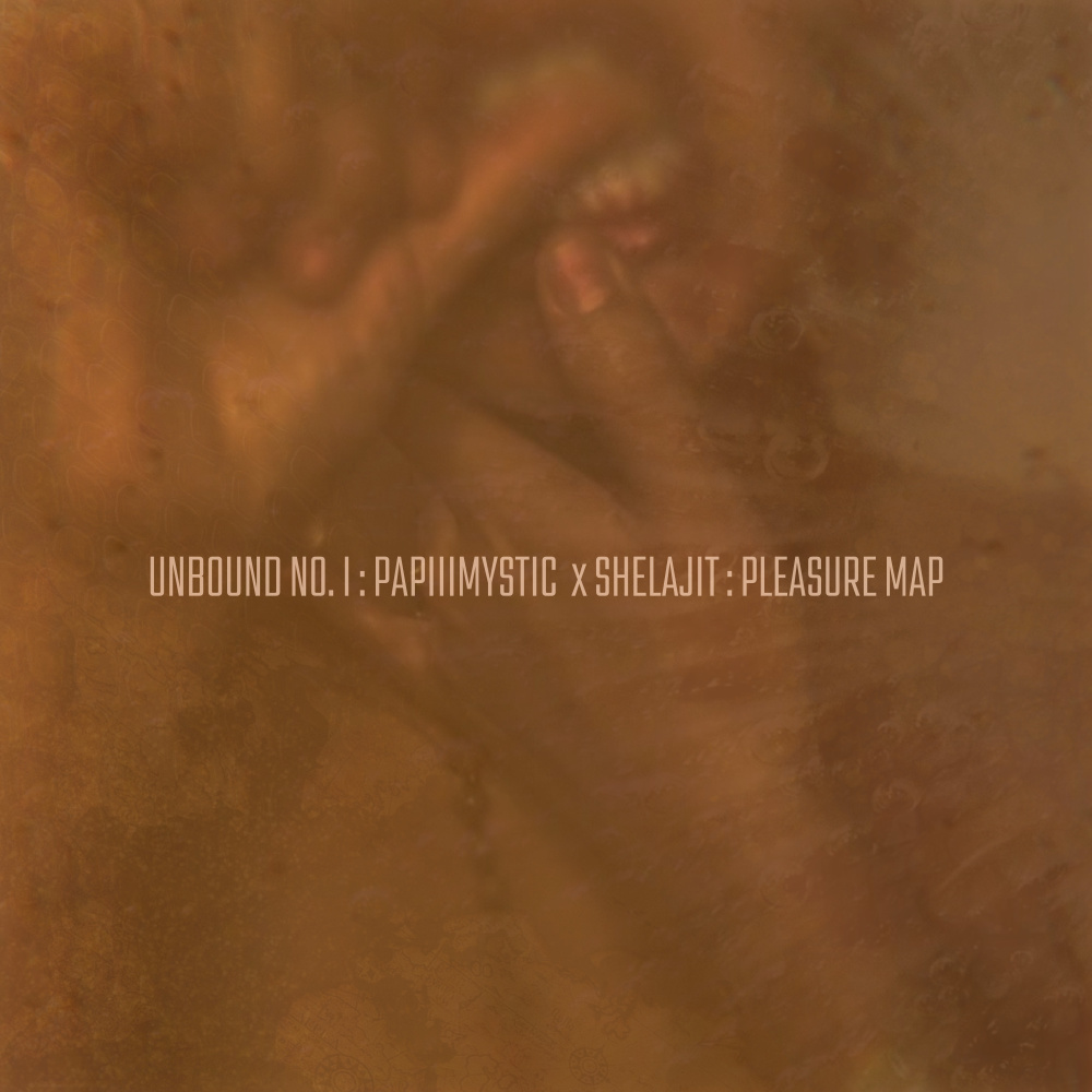 Pleasure Map (Explicit)