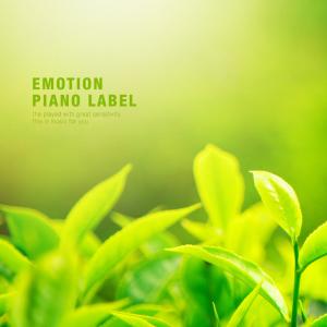 Album A happy piano like sunshine in the morning from Various Artists