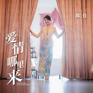收听陈佳的爱情哪里来 (伴奏)歌词歌曲