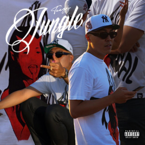 Album Jungle (Explicit) from Teezy