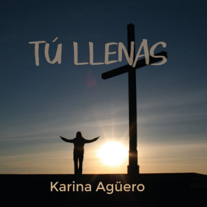 Listen to Tu Llenas song with lyrics from dp em