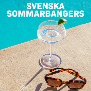 Various的專輯Svenska Sommarbangers (Explicit)