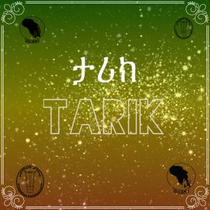 收聽BiniZion的TARIK (Explicit)歌詞歌曲