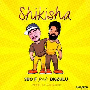 Big Zulu的专辑Shikisha