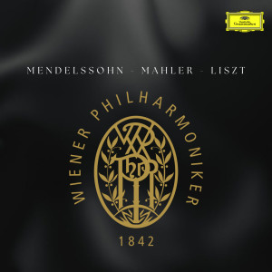 ดาวน์โหลดและฟังเพลง Mahler: Symphony No. 2 in C minor - "Resurrection" / 5th Movement - Wieder zurückhaltend พร้อมเนื้อเพลงจาก Vienna Philharmonic Orchestra