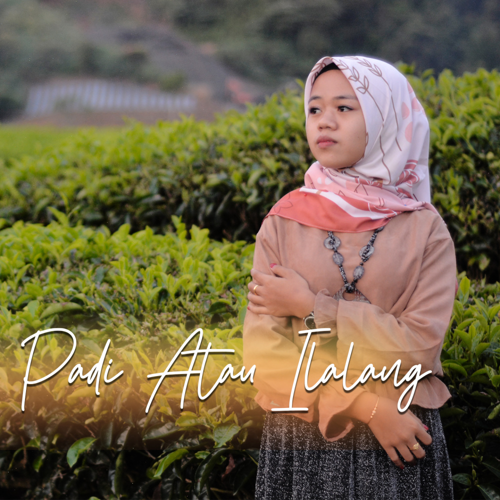 Padi Atau Ilalang