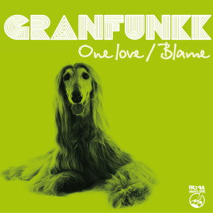 Listen to Blame song with lyrics from Granfunkk