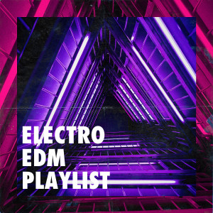 EDM Masters的专辑Electro Edm Playlist