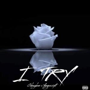 Album I Try (Explicit) from Gbaybee