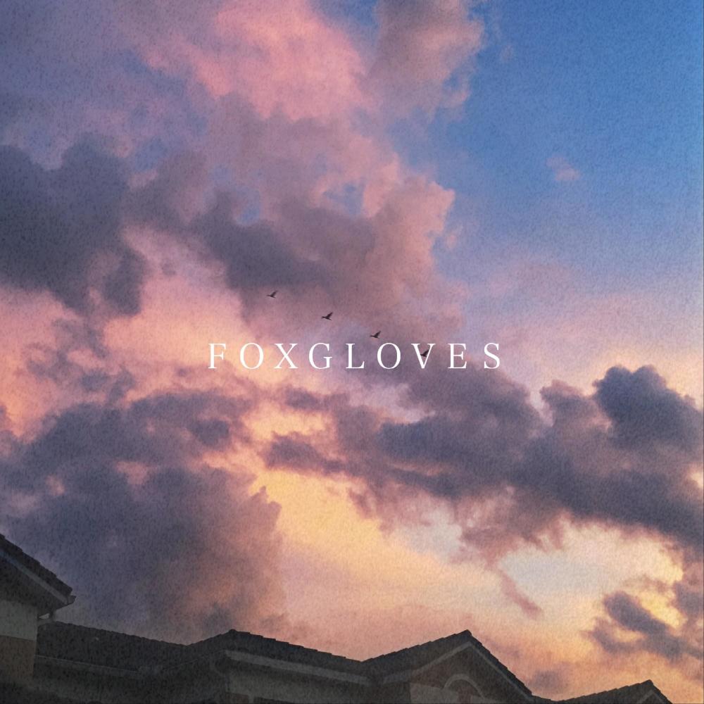 Foxgloves(feat. Bluknight)