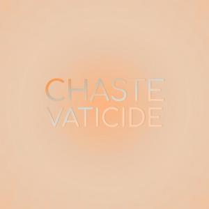 Various Artists的专辑Chaste Vaticide